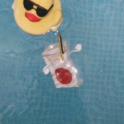 swim shirt — cover art
